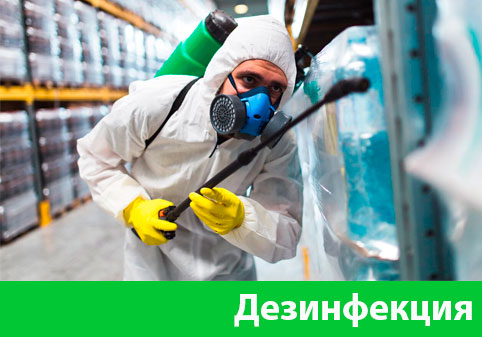 Дезинфекция в городе Воскресенск