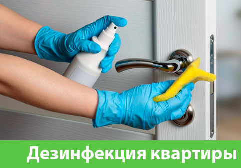 Дезинфекция квартиры в городе Воскресенск