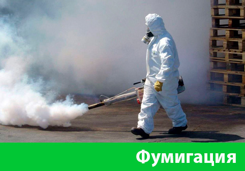 Фумигация в городе Воскресенск