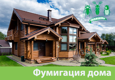 Преимущества обработки газом в городе Воскресенск
