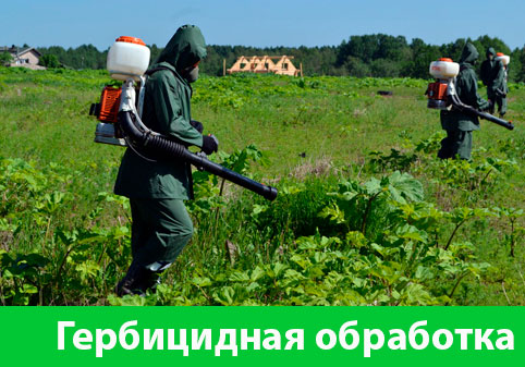 Гербицидная обработка в городе Воскресенск