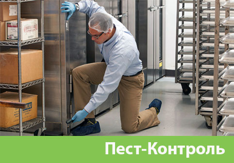 Пэст-Контроль в городе Воскресенск