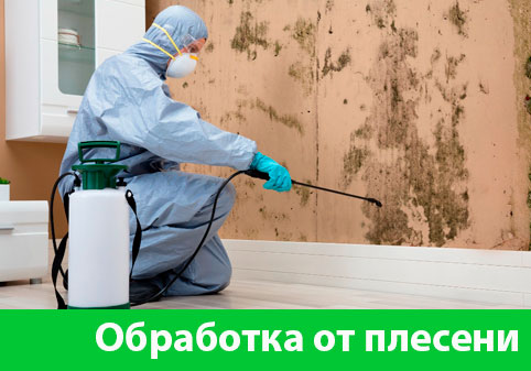 Обработка от плесени в городе Воскресенск