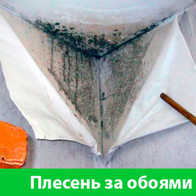Удаление плесени в Воскресенске