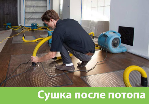 Сушка после потопа в городе Воскресенск