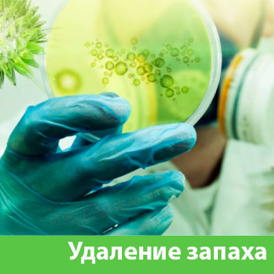 Удаление запахов в Воскресенске
