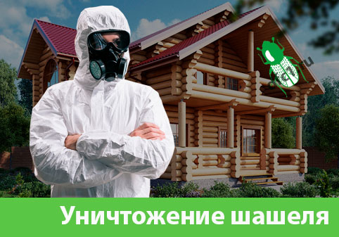 Уничтожение шашеля и личинок в Воскресенске