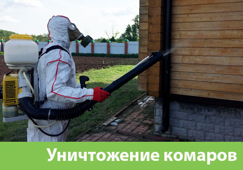 Уничтожение комаров в городе Воскресенск